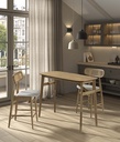 MESA COMEDOR DT-506