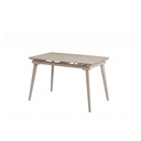MESA COMEDOR DT-533