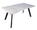 DINING TABLE DT-510