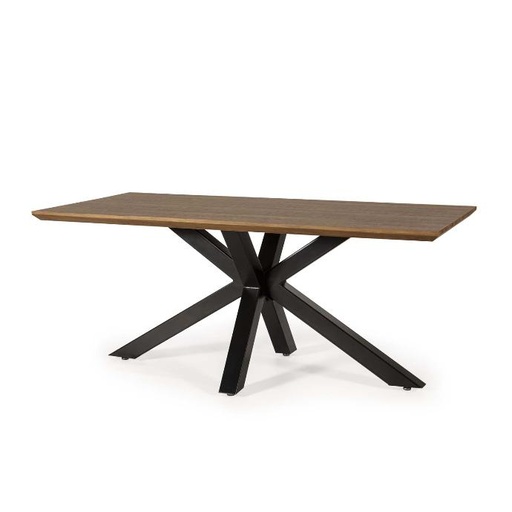 [DT-619] DINING TABLE DT-619 